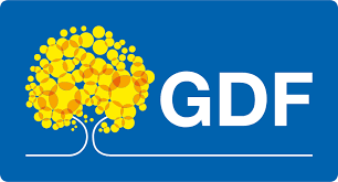 Governo do Distrito Federal